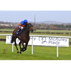 McAuley Place Race Day Fundraiser